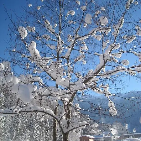 Lejlighed Bischof Mellau